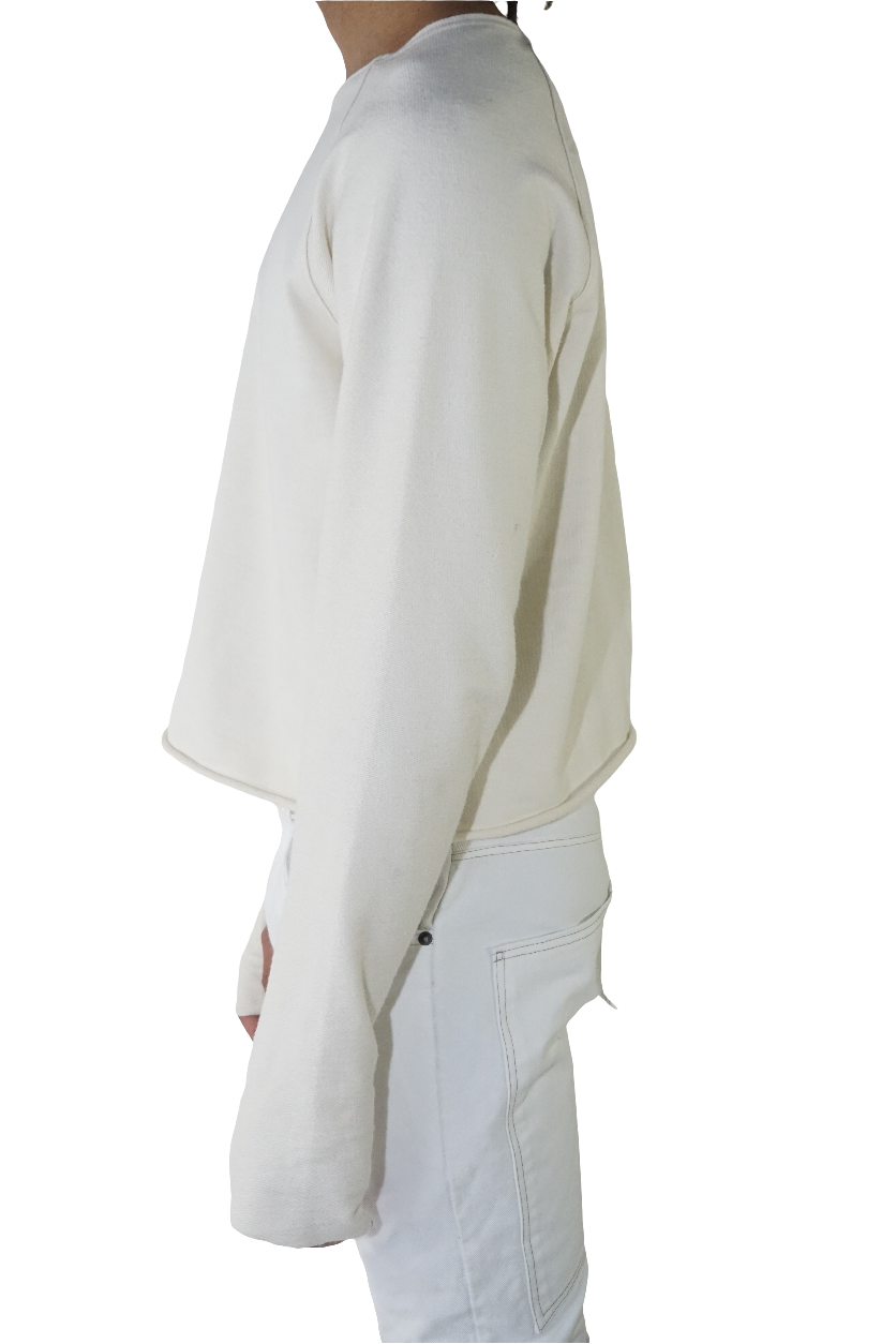 Long sleeve cropped raglan