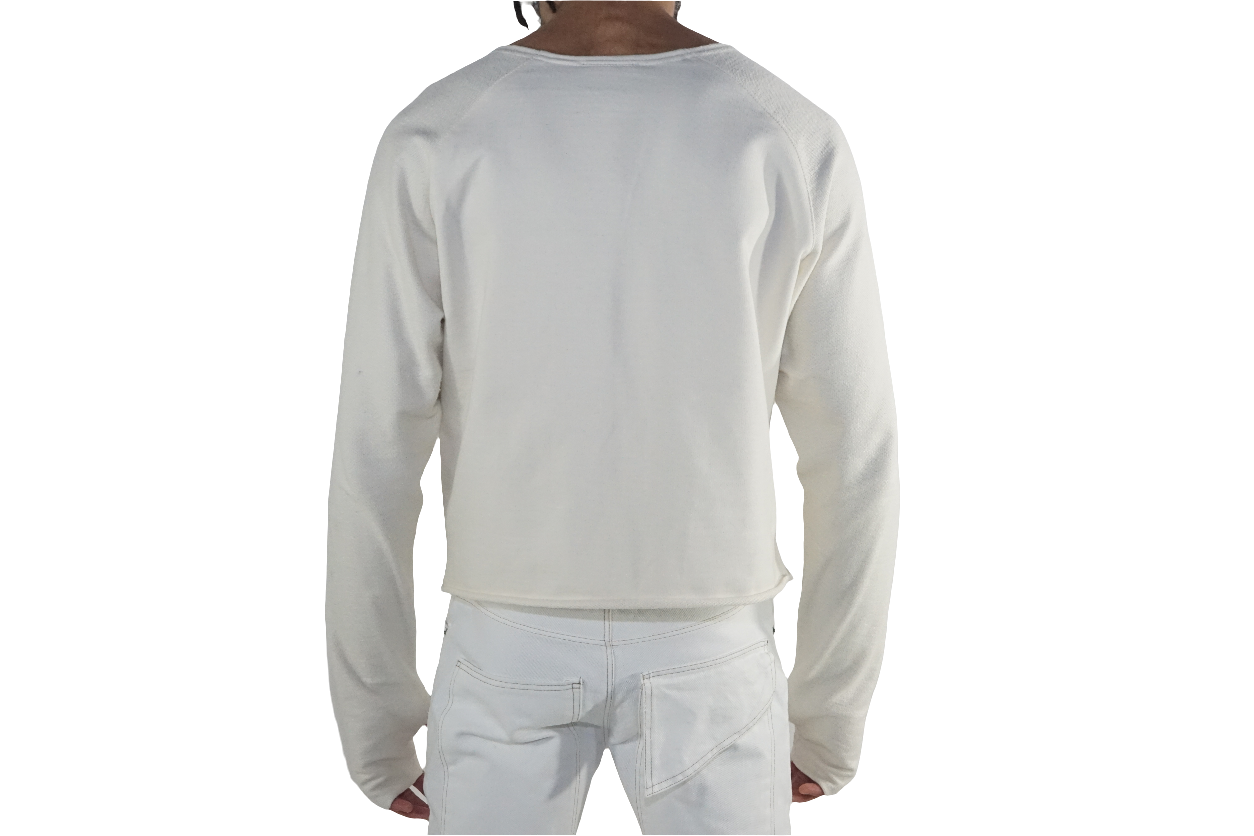 Long sleeve cropped raglan