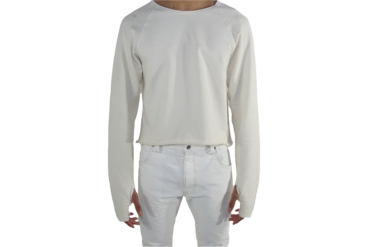 Long sleeve cropped raglan