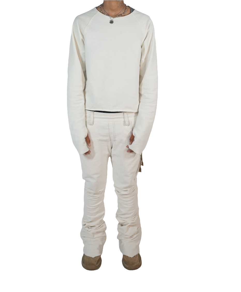 Long sleeve cropped raglan