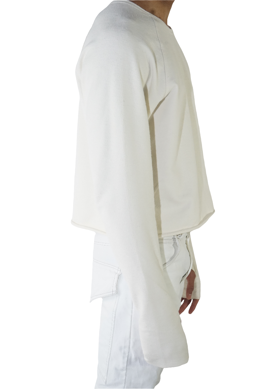 Long sleeve cropped raglan