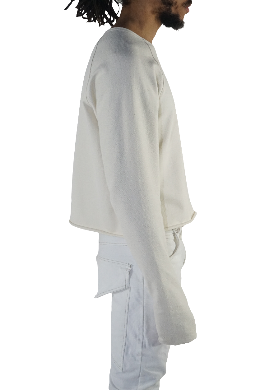 Long sleeve cropped raglan