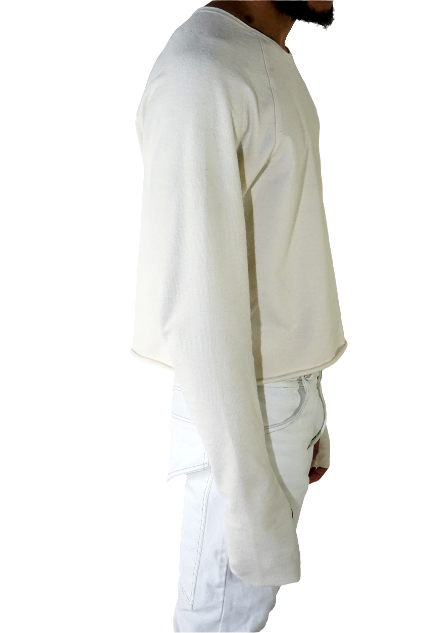 Long sleeve cropped raglan