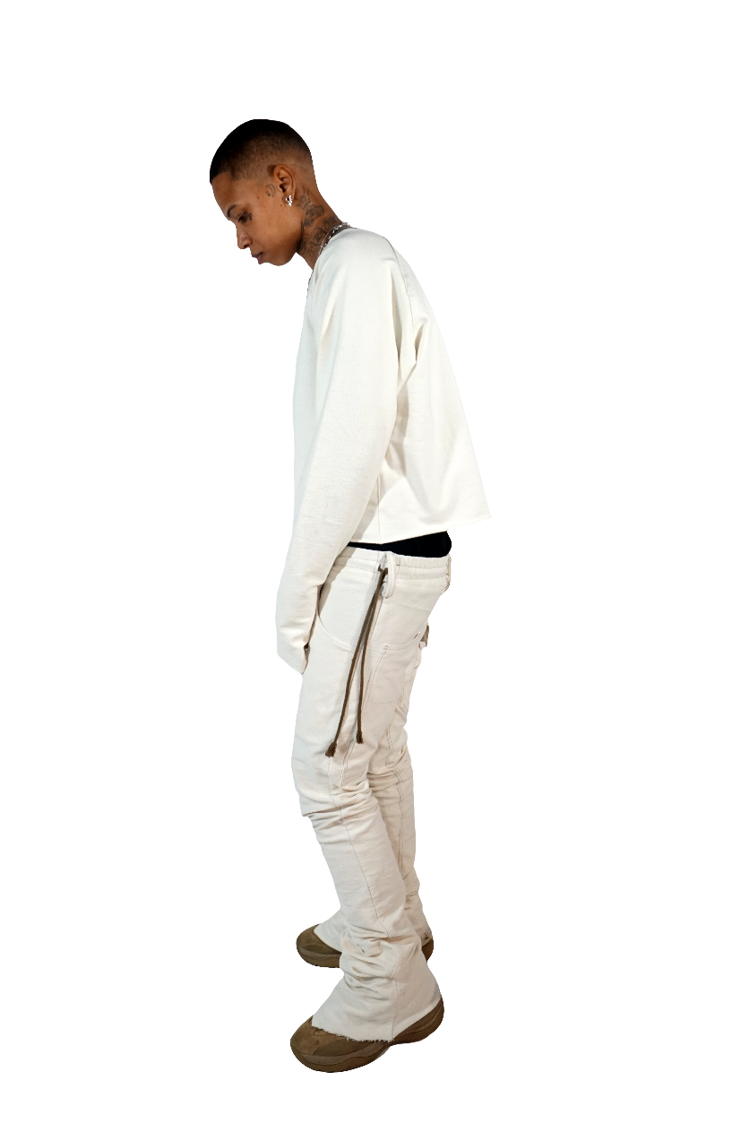 Long sleeve cropped raglan
